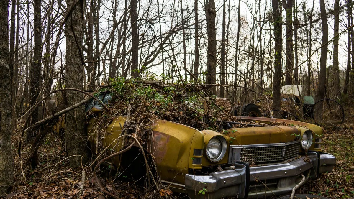 Épave de voiture abandonnée dans la nature